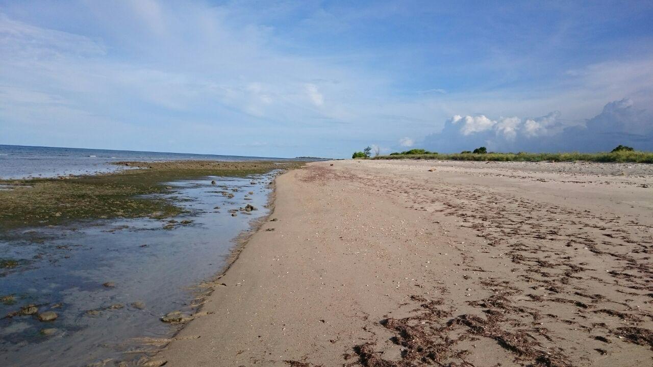 Kadumbul land for sale in East Sumba