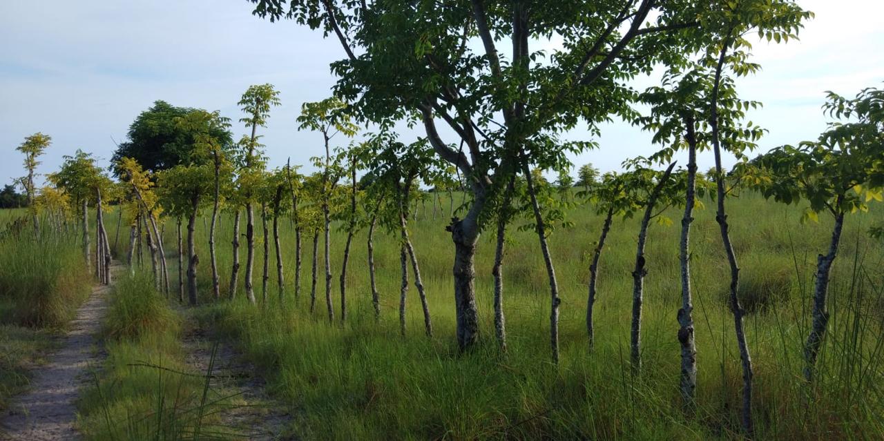 Kadumbul land for sale in East Sumba