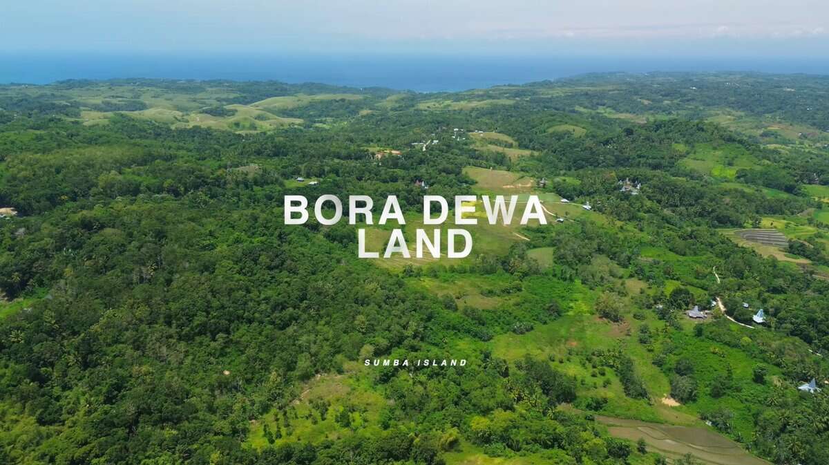 Bora Dewa land for sale in West Sumba