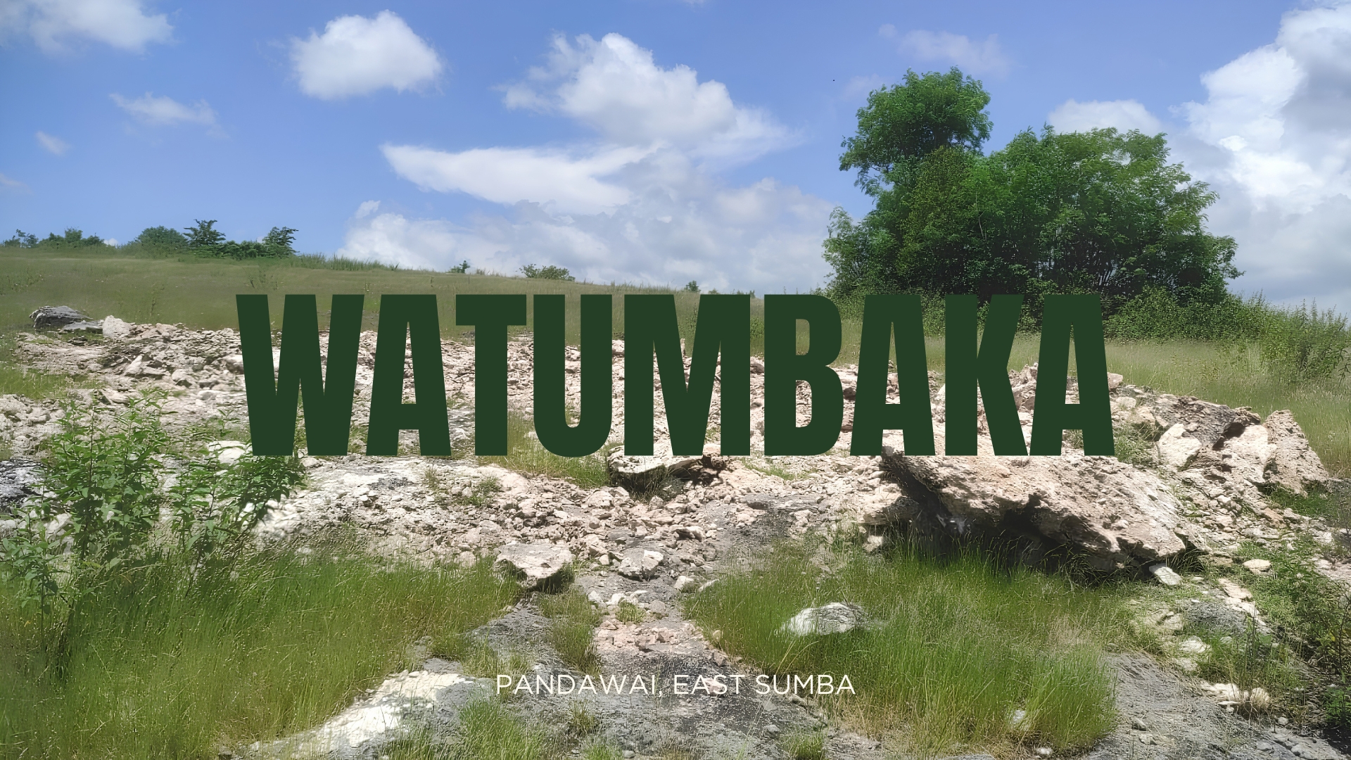 Watumbaka Land land for sale in East Sumba